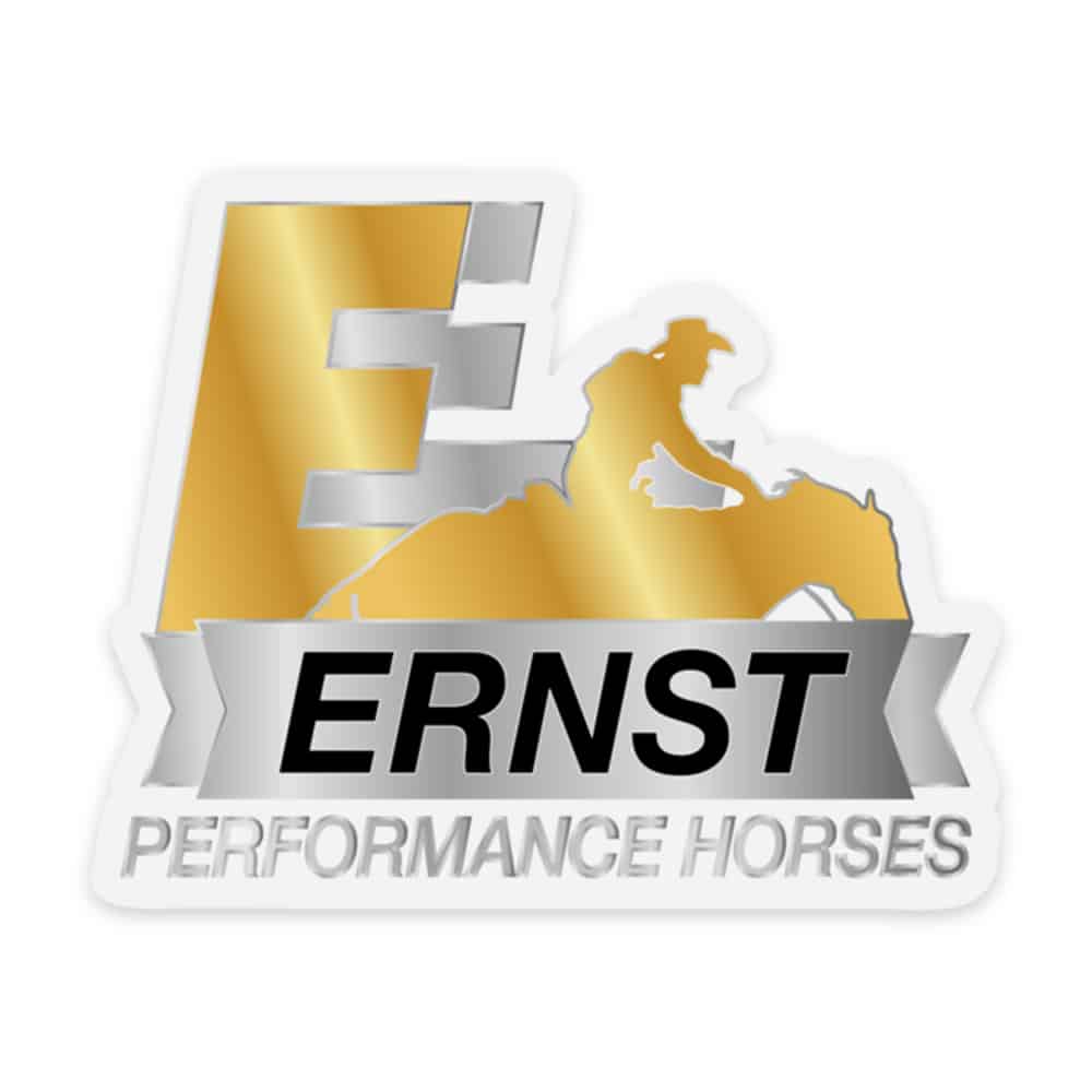 Ernst Performance Horses Aufkleber Chrome-Optik 80 x 65 mm